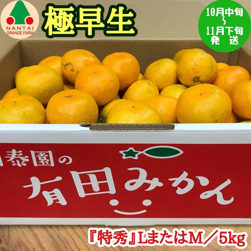 極早生 有田 みかん 特秀 L または M サイズ 5kg 南泰園 和歌山 有田みかん和歌山県有田川町20000果物・フルーツみかん・柑橘類