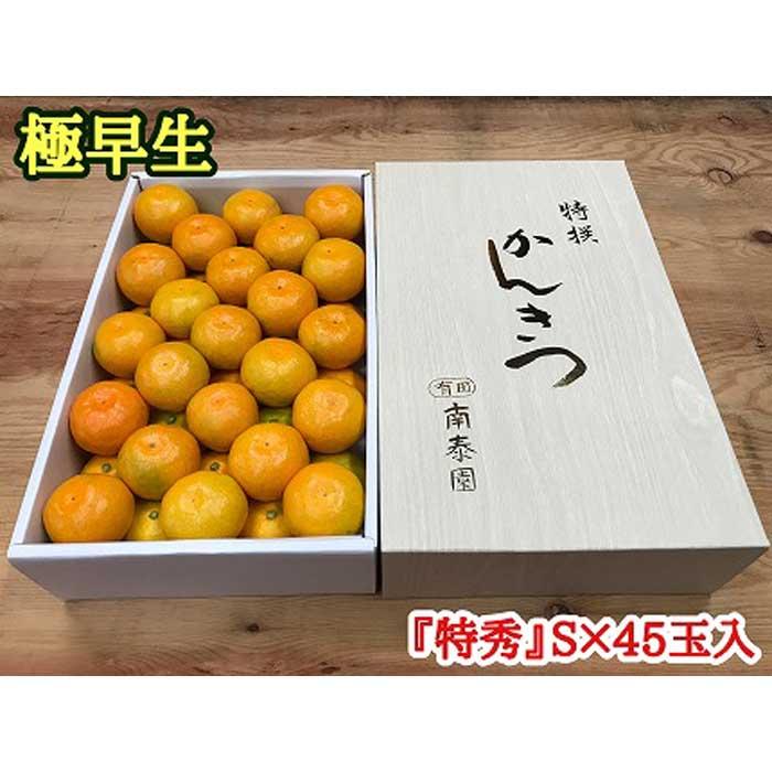極早生 有田 みかん 化粧箱 特秀 S サイズ 45玉入 南泰園 和歌山 有田みかん和歌山県有田川町15000果物・フルーツみかん・柑橘類