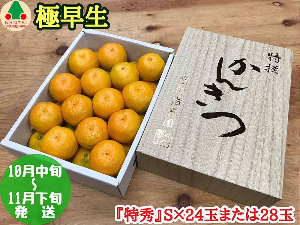 極早生 有田 みかん 化粧箱 小箱 特秀 S サイズ 24玉または28玉入 南泰園 和歌山 有田みかん和歌山県有田川町10000果物・フルーツみかん・柑橘類