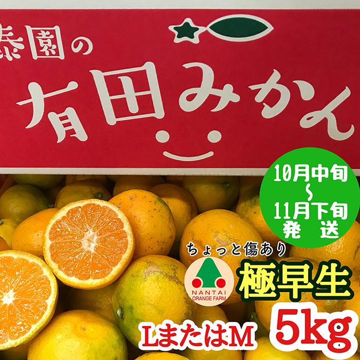 ちょっと 傷あり 極早生 有田 みかん L または M サイズ 5kg 南泰園 和歌山 有田みかん和歌山県有田川町15000果物・フルーツみかん・柑橘類