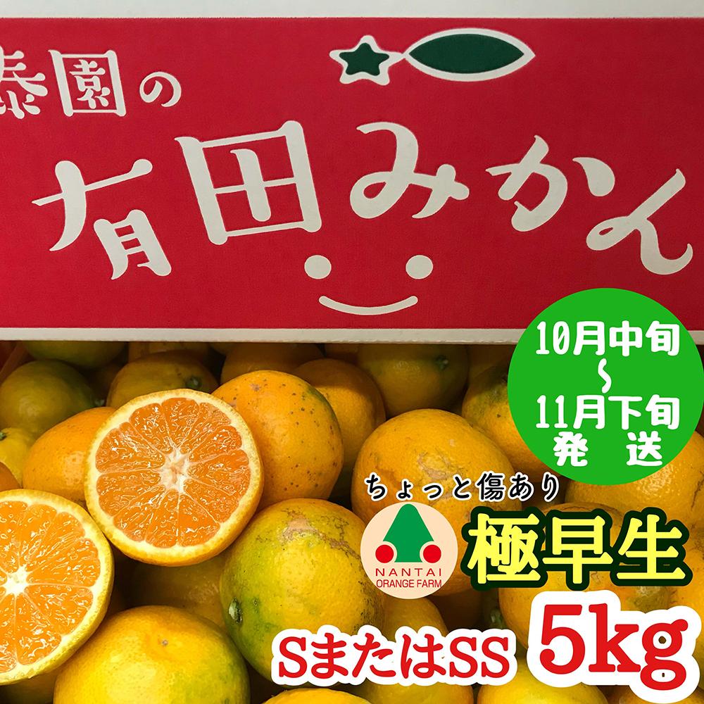 ちょっと 傷あり 極早生 有田 みかん S または SS サイズ 5kg 南泰園 和歌山 有田みかん和歌山県有田川町15000果物・フルーツみかん・柑橘類