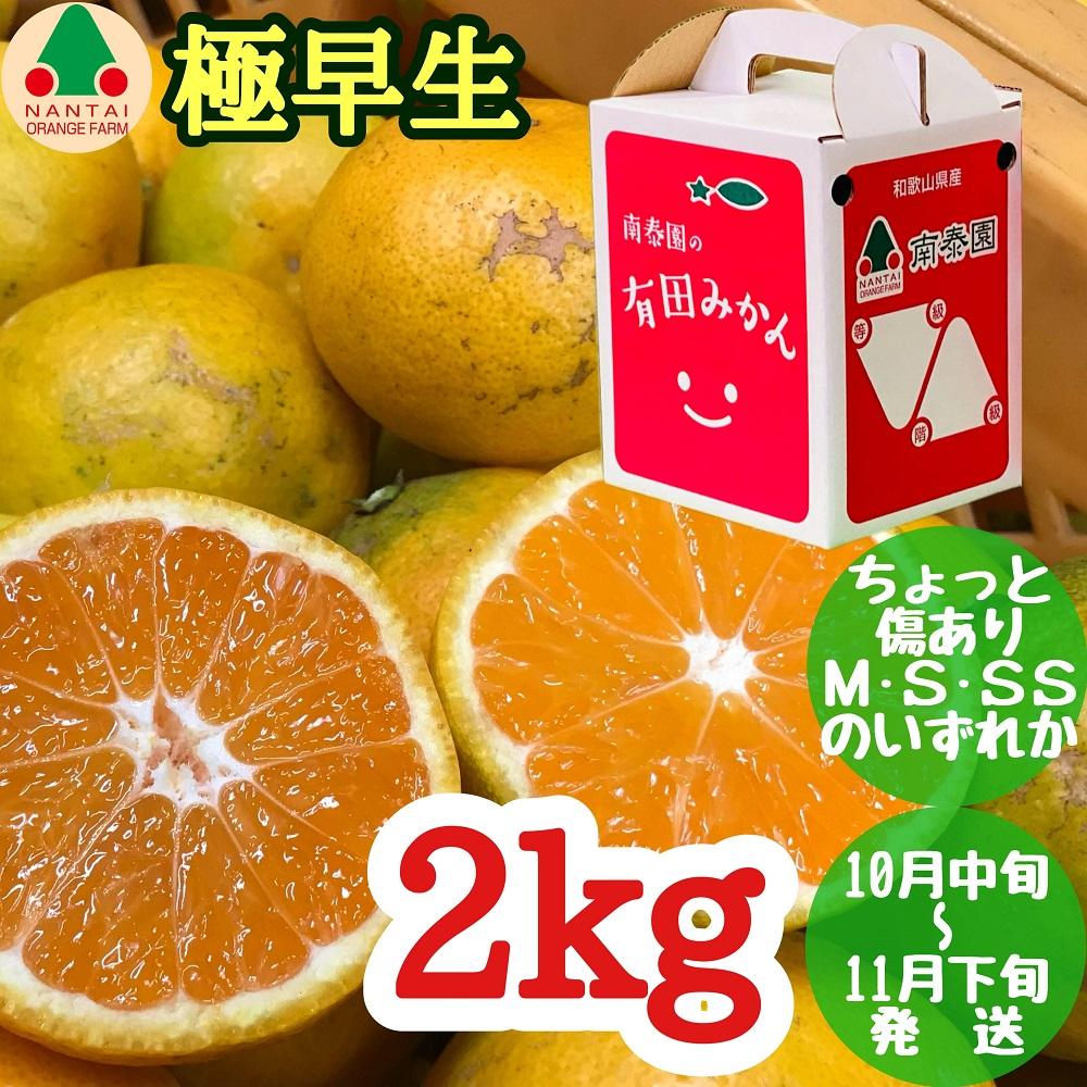 ちょっと 傷あり 極早生 有田 みかん M〜SS サイズ 2kg 手さげ箱 南泰園 和歌山 有田みかん和歌山県有田川町8000果物・フルーツみかん・柑橘類