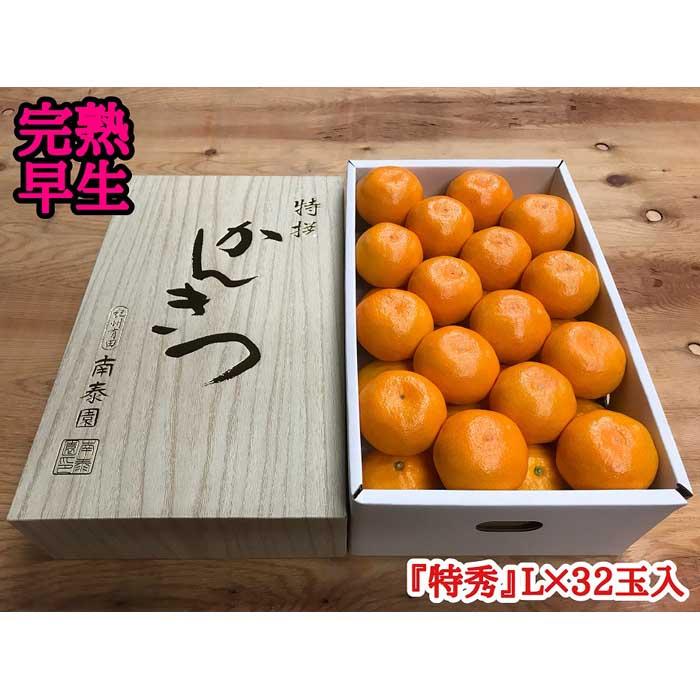 年内発送 完熟早生 有田みかん 化粧箱 特秀 L サイズ 32玉入 和歌山 南泰園 みかん和歌山県有田川町18000果物・フルーツみかん・柑橘類