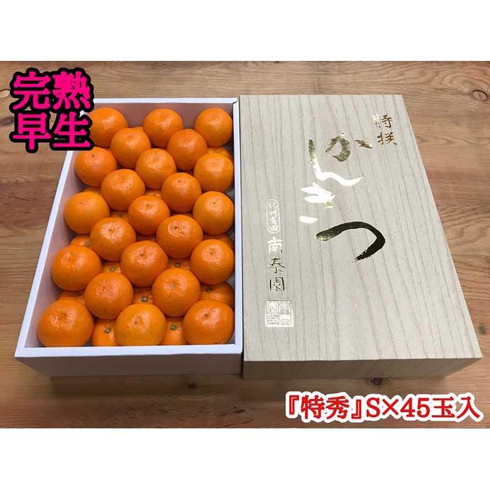 年内発送 完熟早生 有田みかん 化粧箱 特秀 S サイズ 45玉入 和歌山 南泰園 みかん和歌山県有田川町18000果物・フルーツみかん・柑橘類