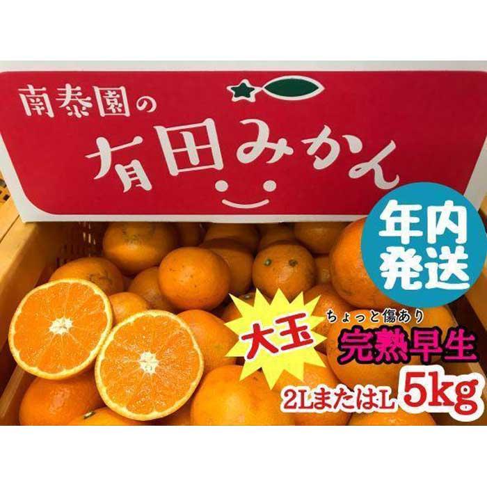 年内発送 ちょっと 傷あり 完熟早生 有田みかん 大玉 2L または L サイズ 5kg 和歌山 南泰園 みかん和歌山県有田川町15000果物・フルーツみかん・柑橘類