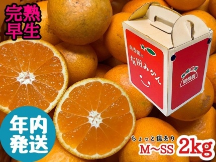 年内発送 ちょっと傷あり 完熟早生 有田みかん M ~ SS サイズ 2kg 手さげ箱 みかん和歌山県有田川町8000果物・フルーツみかん・柑橘類