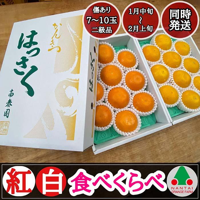 Lc ͂ g Hׂ ϔ ݂a̎RLc쒬15000ʕEt[c݂Ek