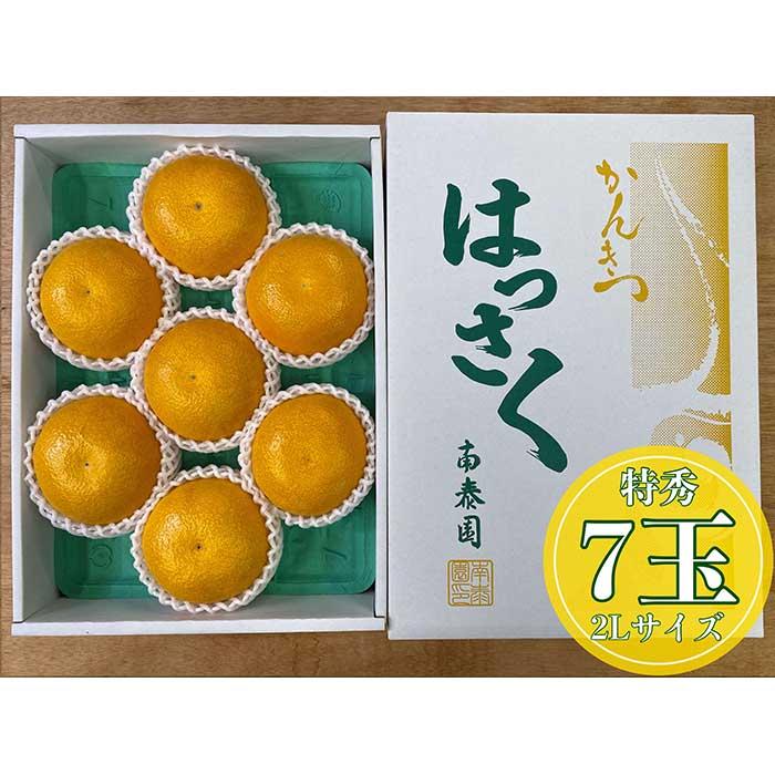 化粧箱 手詰め 有田 はっさく 特秀 大玉 2L サイズ × 7玉入 南泰園 みかん和歌山県有田川町10000果物・フルーツみかん・柑橘類