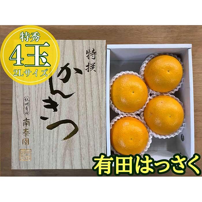 化粧箱 小箱 手詰め 有田 はっさく 特秀 大玉 2L サイズ × 4玉入 南泰園 みかん和歌山県有田川町8000果物・フルーツみかん・柑橘類