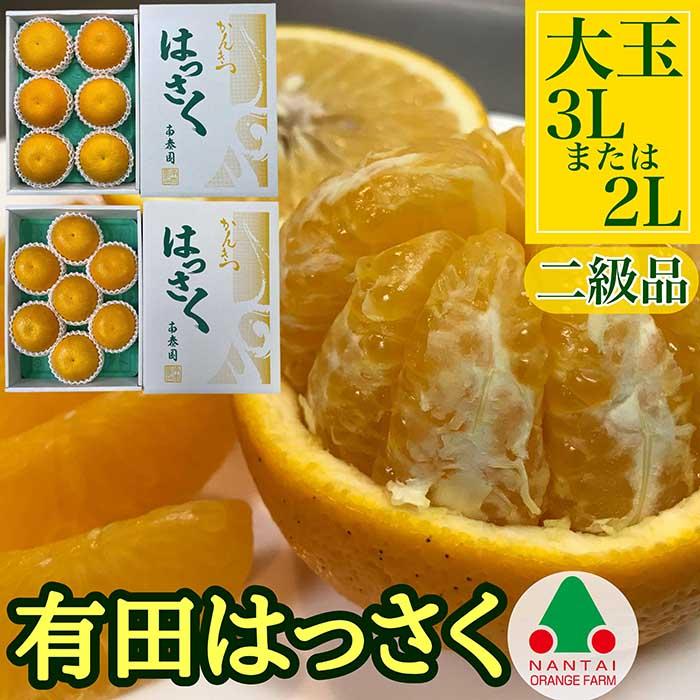 手詰め 有田 はっさく 大玉 3L × 6玉 または 2L × 7玉 ちょっと 傷あり 南泰園 みかん和歌山県有田川町8000果物・フルーツみかん・柑橘類