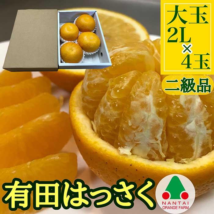 ちょっと 傷あり 小箱 手詰め 有田 はっさく 大玉 2L サイズ × 4玉入 南泰園 みかん和歌山県有田川町6000果物・フルーツみかん・柑橘類