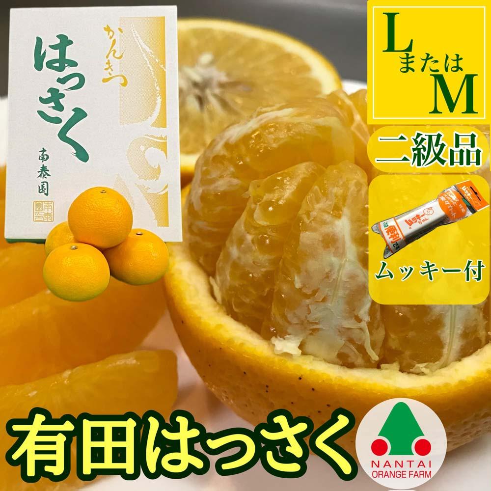 手詰め 有田 はっさく L × 8玉 または M × 10玉 サイズ ちょっと 傷あり ムッキー 同梱 南泰園 みかん和歌山県有田川町10000果物・フルーツみかん・柑橘類