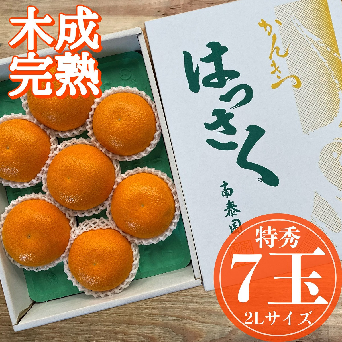 木成完熟 紅はっさく 特秀 大玉 2L × 7玉入 化粧箱 南泰園【2026年4月上旬〜発送】和歌山県有田川町12000果物・フルーツみかん・柑橘類