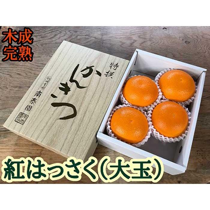 木成完熟 紅はっさく 特秀 大玉 2L × 4玉入 化粧小箱 南泰園【2026年4月上旬〜発送】和歌山県有田川町10000果物・フルーツみかん・柑橘類