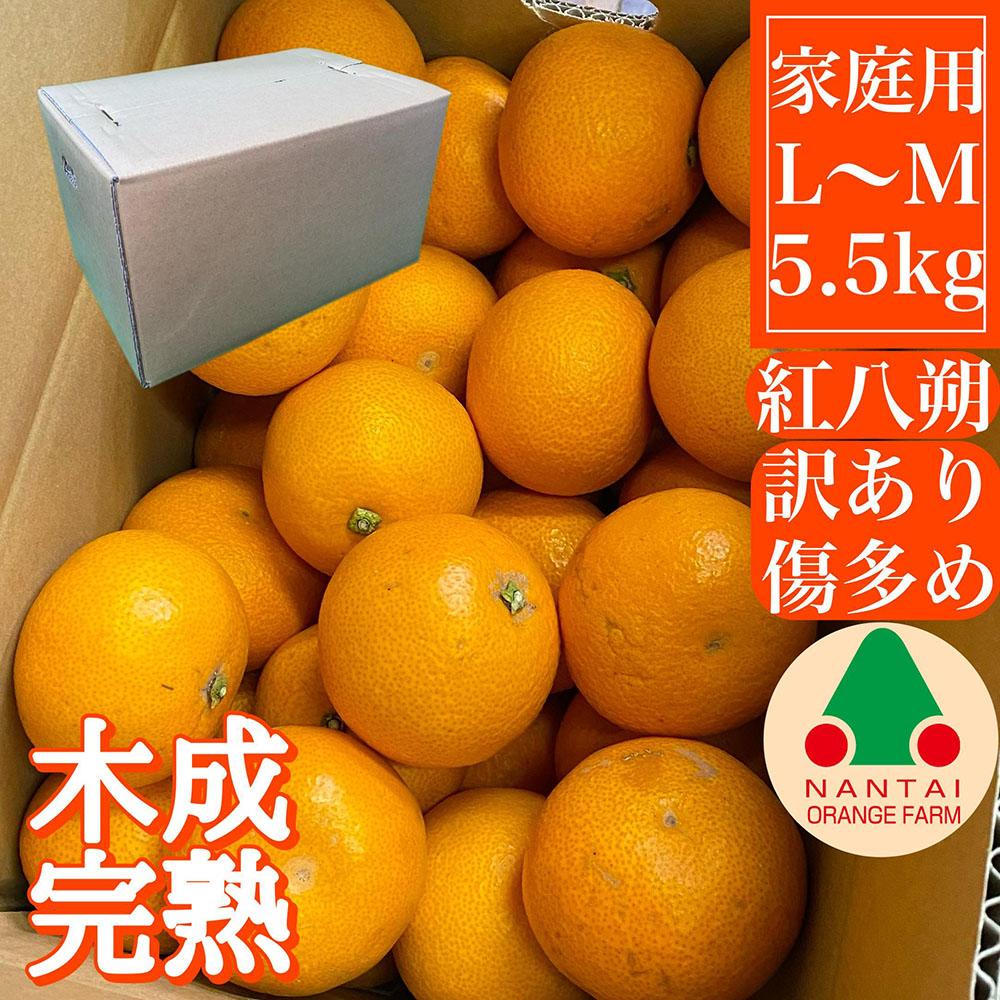 ƒp 5.5kg 󂠂  ؐn g͂ L ܂ M TCY  ׉y2026N4{`za̎RLc쒬12000ʕEt[c݂Ek
