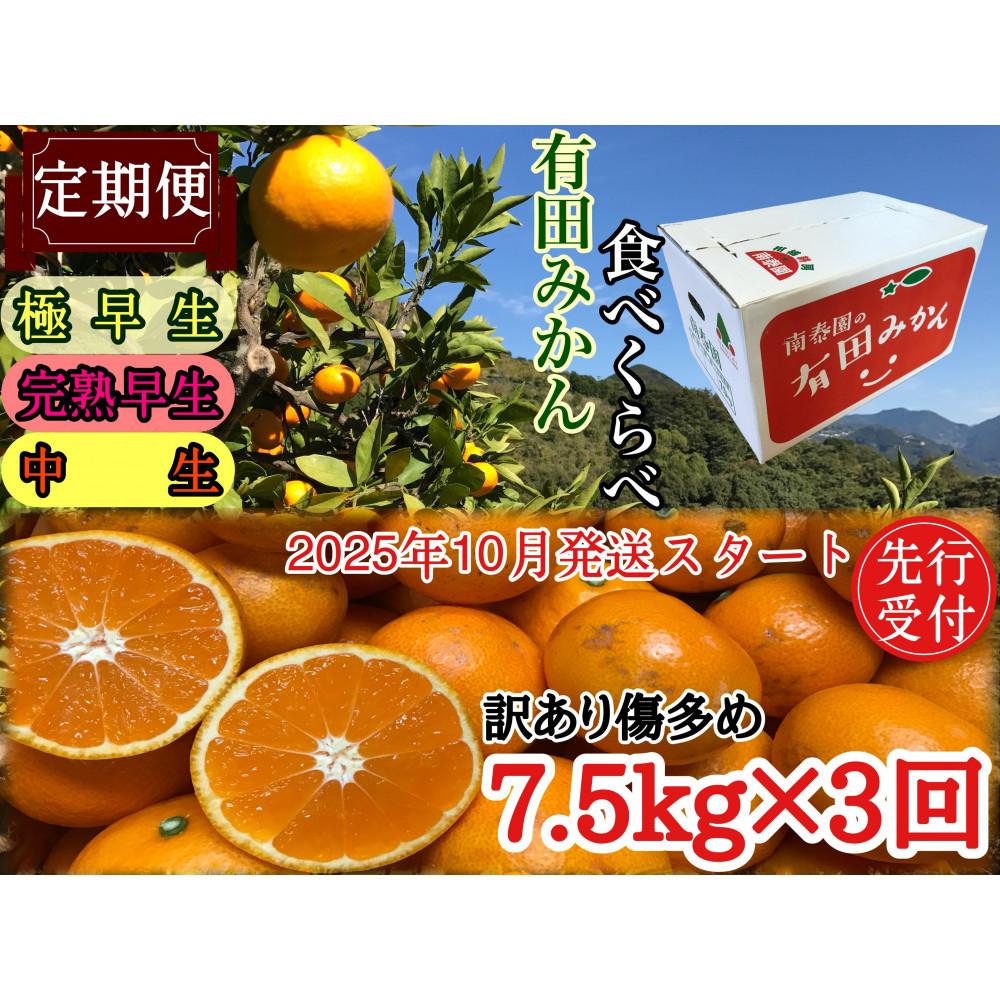 定期便 先行受付 2025年 10月発送スタート 訳あり 傷多め 7.5kg × 3回 コース 有田みかん 食べくらべ 3種 南泰園和歌山県有田川町45000果物・フルーツみかん・柑橘類