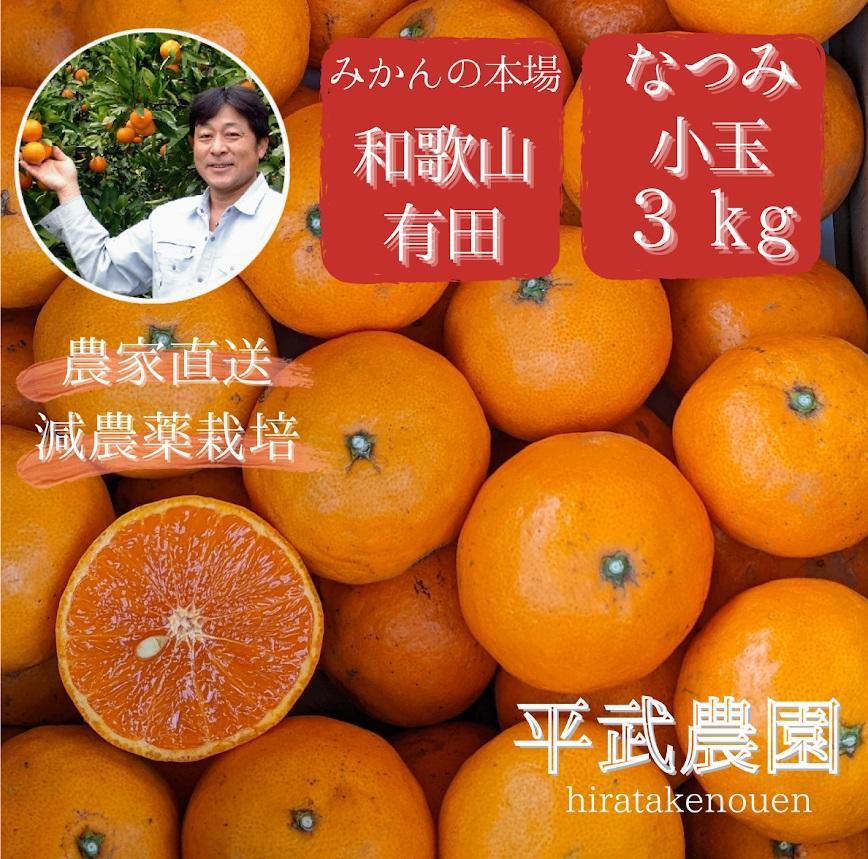農家直送!なつみオレンジ 小玉3kg【平武農園】〜蛍飛ぶ町から旬の便り〜和歌山県有田川町10000果物・フルーツみかん・柑橘類