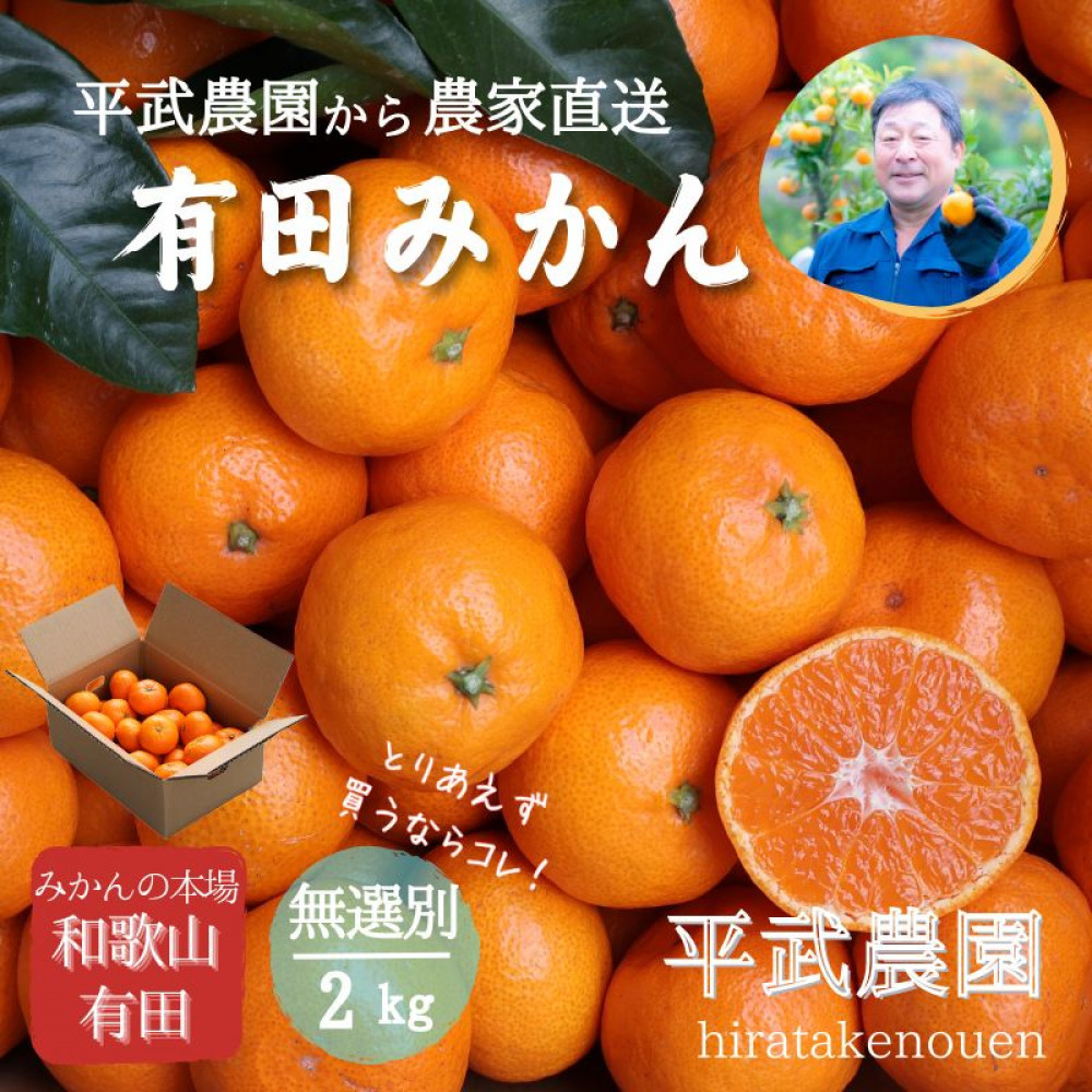 農家直送!有田みかん(2kg 無選別≪秀品・訳あり品・サイズ混合≫)平武農園 〜蛍飛ぶ町から旬の便り〜和歌山県有田川町9000果物・フルーツみかん・柑橘類