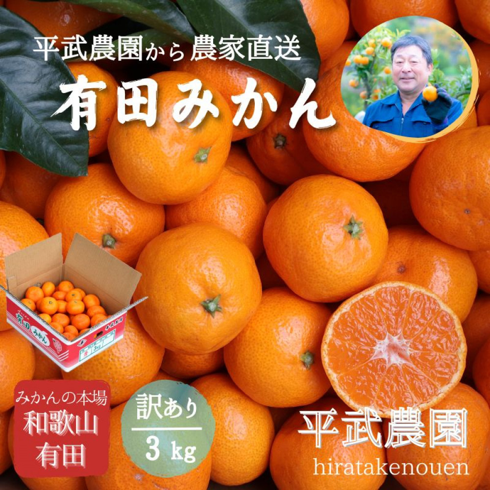 農家直送!有田みかん(3kg 訳あり≪サイズ混合≫) 平武農園 〜蛍飛ぶ町から旬の便り〜和歌山県有田川町10000果物・フルーツみかん・柑橘類