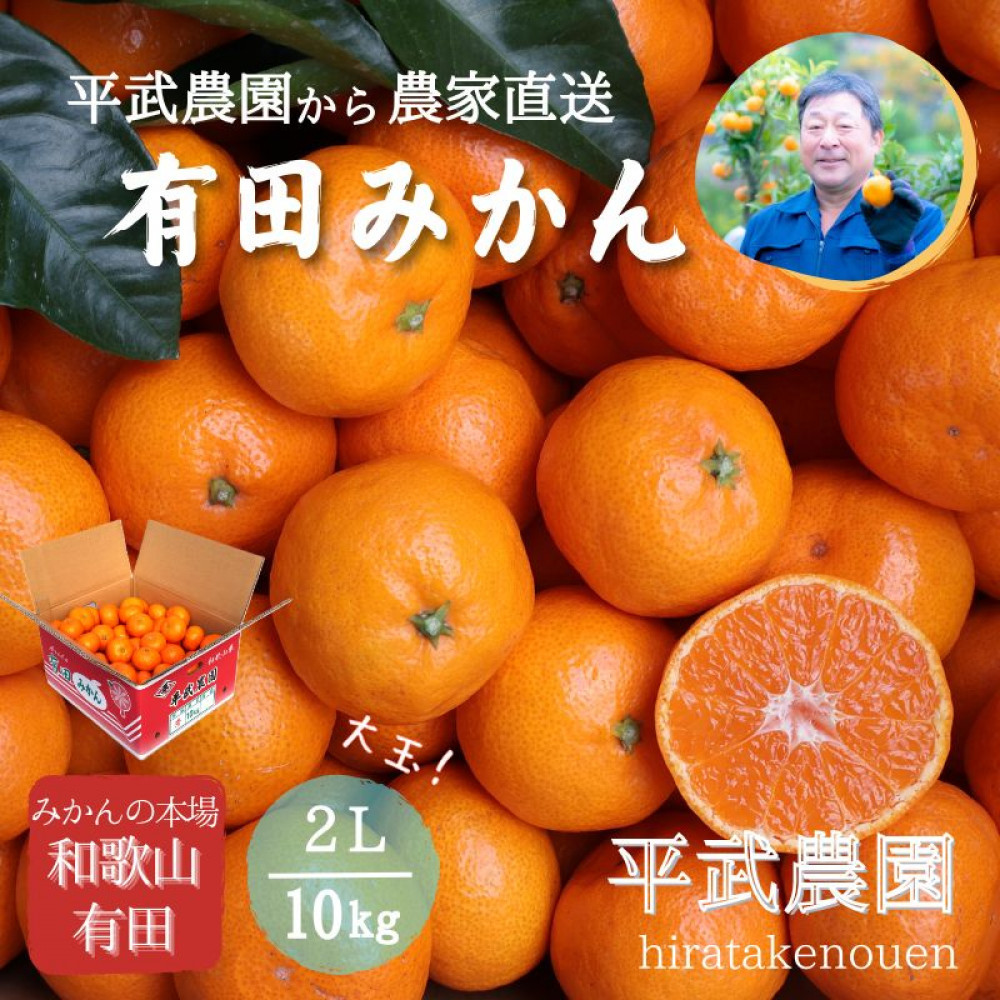 農家直送!有田みかん(10kg 2Lサイズ(大玉)秀品)平武農園 〜蛍飛ぶ町から旬の便り〜和歌山県有田川町18000果物・フルーツみかん・柑橘類
