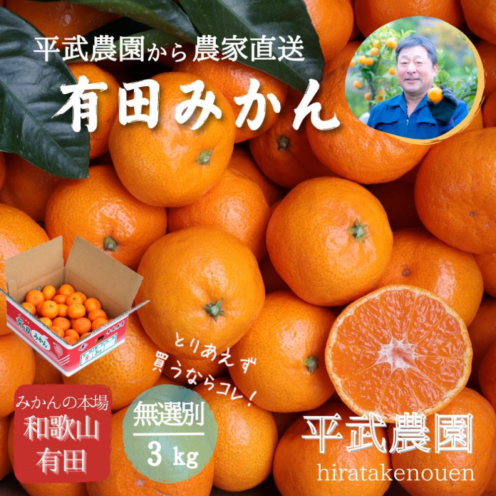 農家直送!有田みかん(3kg 無選別≪秀品・訳あり品・サイズ混合≫)平武農園 〜蛍飛ぶ町から旬の便り〜和歌山県有田川町12000果物・フルーツみかん・柑橘類