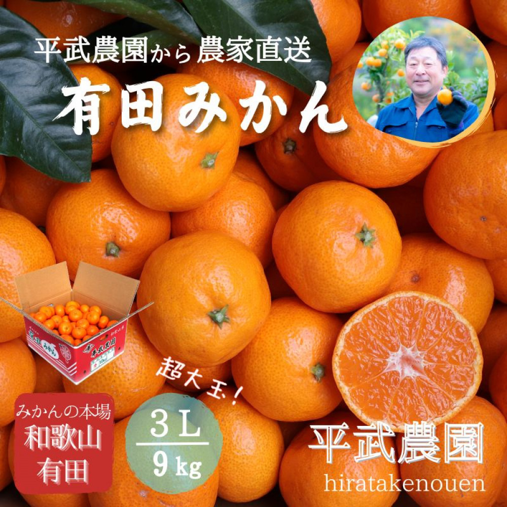 農家直送!有田みかん(9kg 3Lサイズ(超大玉)秀品)平武農園 〜蛍飛ぶ町から旬の便り〜和歌山県有田川町15000果物・フルーツみかん・柑橘類