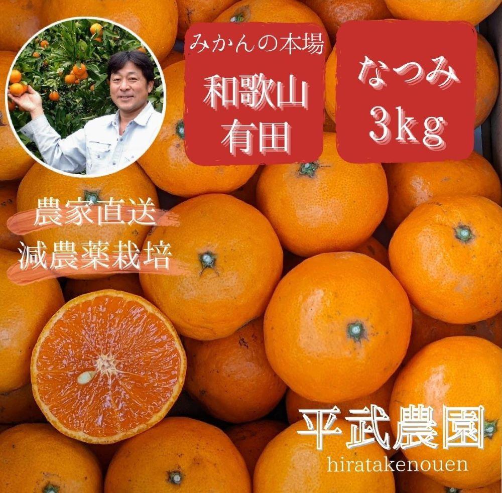 農家直送!なつみオレンジ 3kg【平武農園】〜蛍飛ぶ町から旬の便り〜和歌山県有田川町11000果物・フルーツみかん・柑橘類