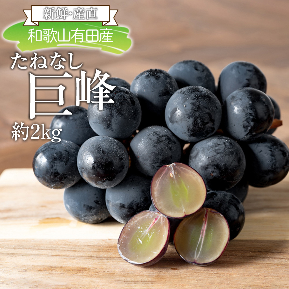 ms\n[VNEY]a̎RLcŶ˂Ȃ2kg2026N8{菇a̎RLc쒬17000ʕEt[c}XJbgEԂǂ