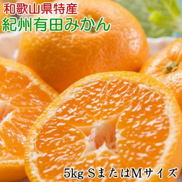 [Gi]a̎RLc݂5kg(S܂MTCY) 2025N11{菇mTM97wna̎RLc쒬12000ʕEt[c݂Ek