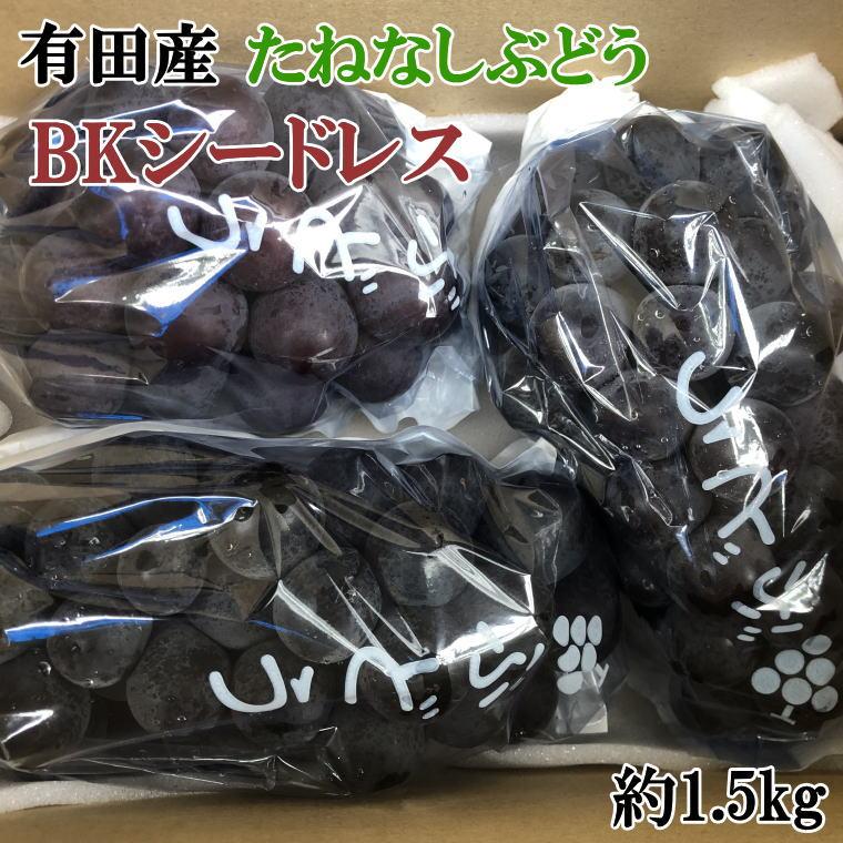 yʌz󏭂ȂԂǂuBKV[hXv1.5kg2025NW{菇a̎RLc쒬14500ʕEt[c}XJbgEԂǂ