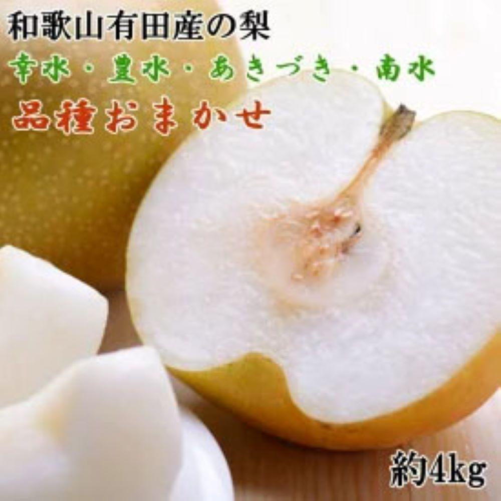 【産直】和歌山有田産の梨約4kg(品種おまかせ)★2026年8月上旬頃より順次発送和歌山県有田川町17000果物・フルーツりんご・梨