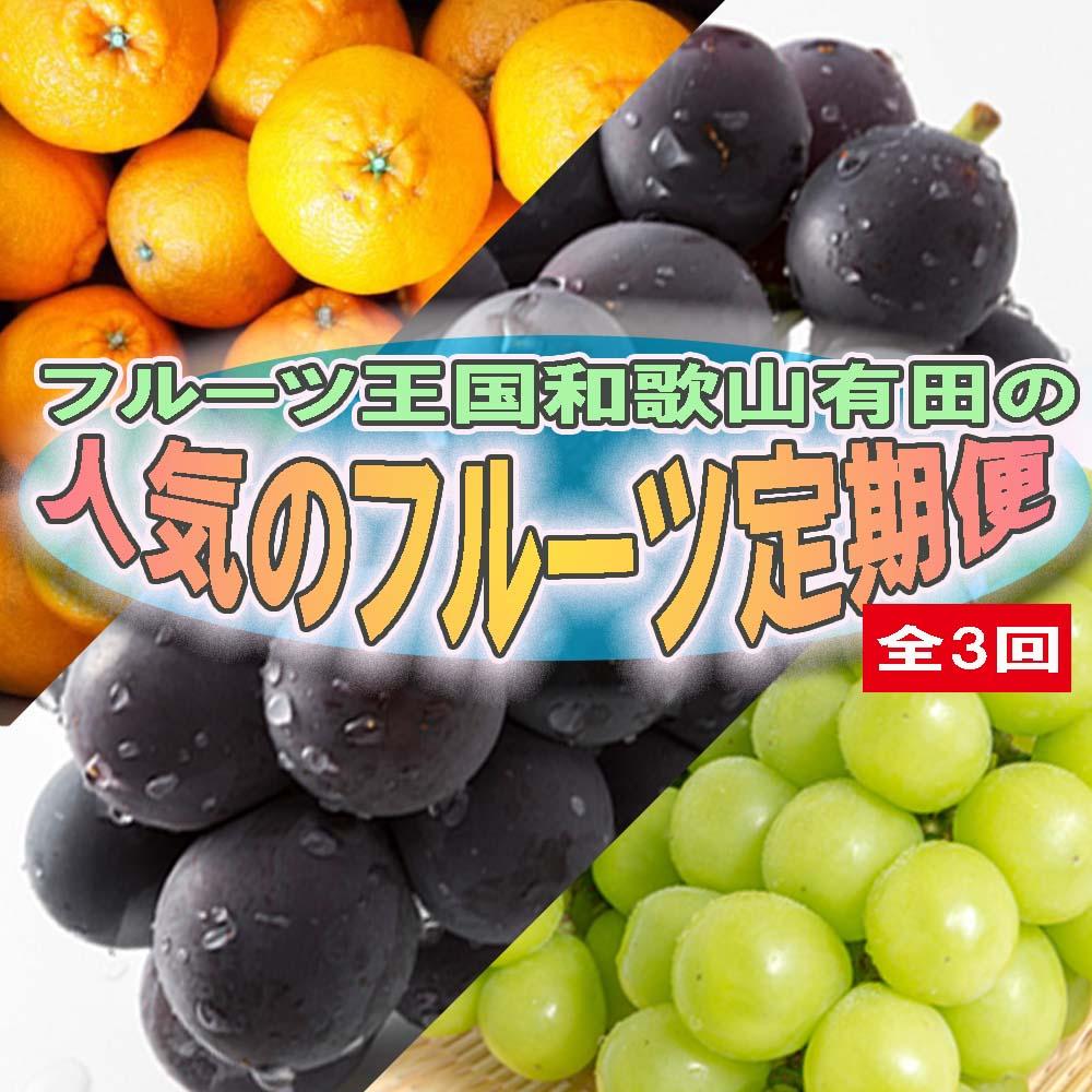 定期便全3回【3月・8月・9月発送】フルーツ王国和歌山の人気フルーツ定期便(不知火・たねなし巨峰・シャインマスカット)和歌山県有田川町41000果物・フルーツその他 果物・フルーツ