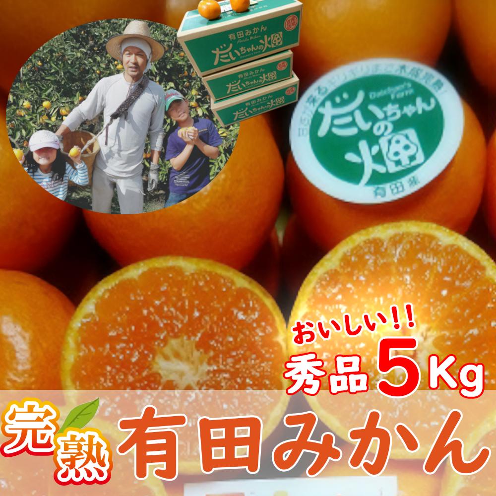 有田みかん  秀品 5kg 木成り完熟【贈答用】大ちゃんの畑農園和歌山県有田川町13000果物・フルーツみかん・柑橘類