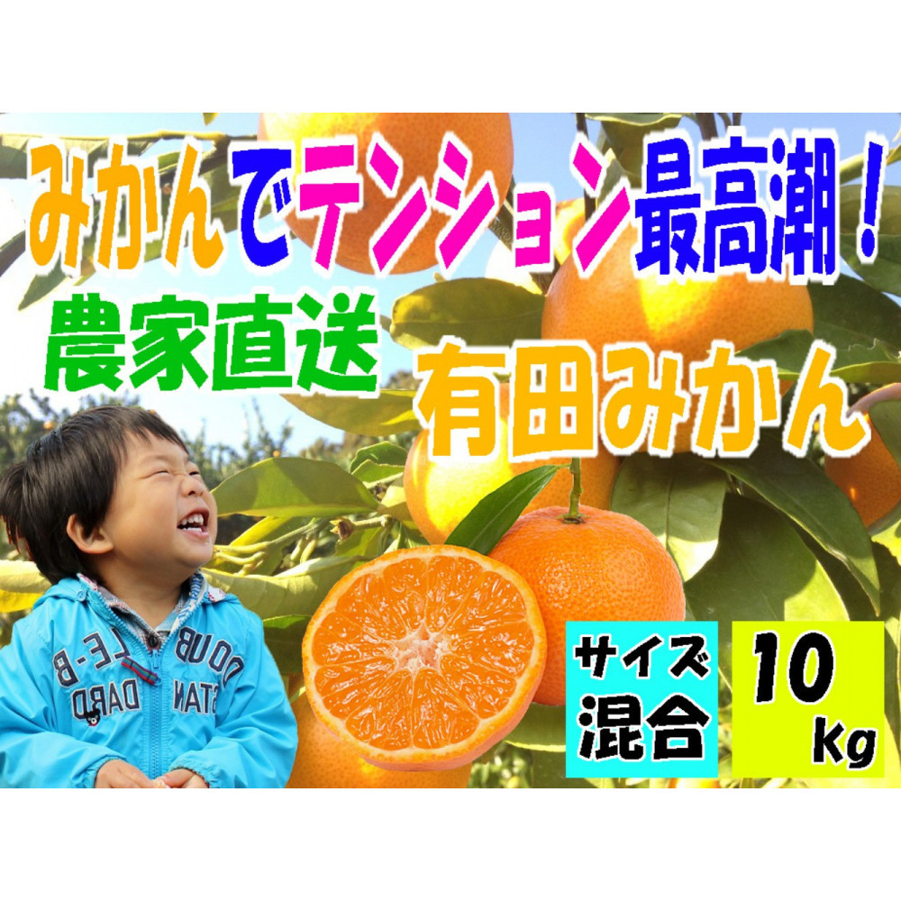 有田みかん10キロ サイズ混合和歌山県有田川町12000果物・フルーツみかん・柑橘類