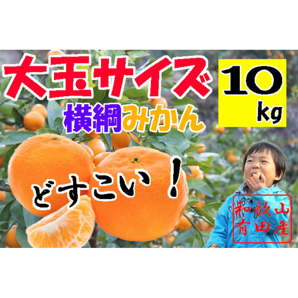大玉有田みかん 10kg 2L・3Lサイズ和歌山県有田川町10000果物・フルーツみかん・柑橘類