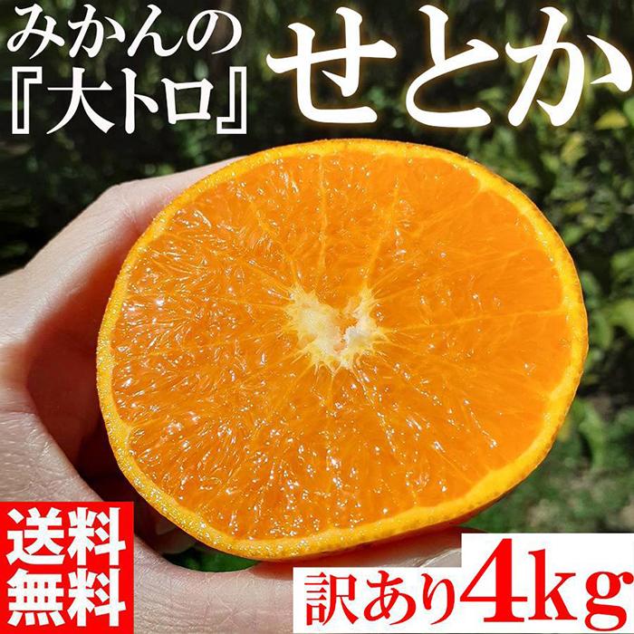 せとか みかんの大トロ 4kg 訳あり ブランド 和歌山 有田みかん 農家直送 オレンジ フルーツ 果物和歌山県有田川町20000果物・フルーツみかん・柑橘類