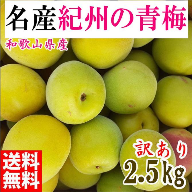 ~ 2.5kg IB썂~ VbvE~E~pȂ a̎RLcY 󂠂 2026N5{`7{\a̎RLc쒬13500؁Ê̑ 