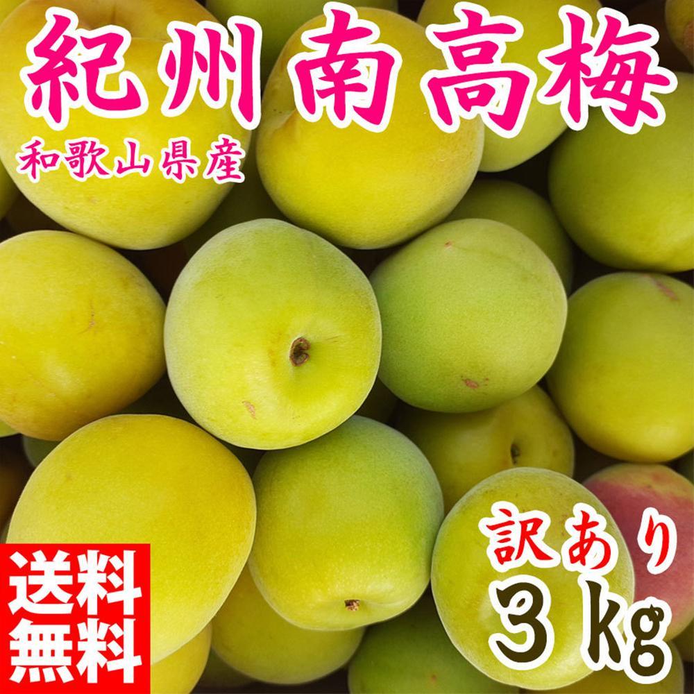 青梅 約3kg 訳あり 紀州南高梅 シロップ・梅酒・梅干し用など 和歌山県有田産 2026年5月下旬〜7月上旬発送予定和歌山県有田川町16000野菜・きのこその他 野菜