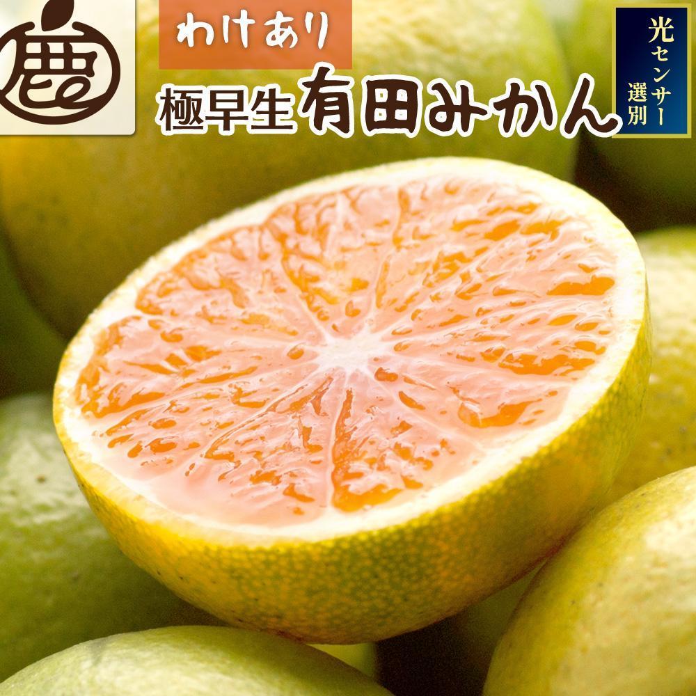 家庭用 極早生有田みかん2.5kg+250g(傷み補償分)和歌山県有田川町8000果物・フルーツみかん・柑橘類