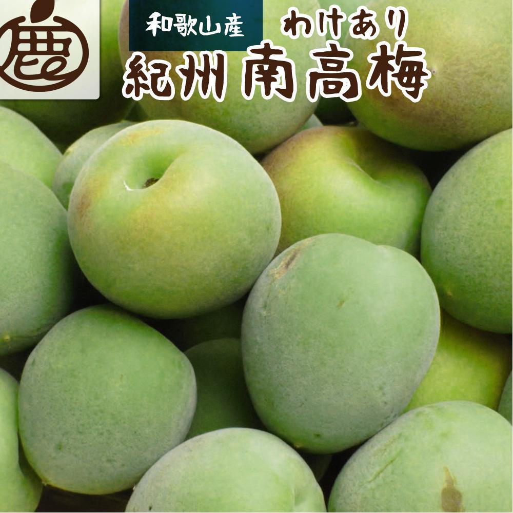 <6月発送>家庭用青梅4kg+120g(傷み補償分)【梅干し・梅酒】【訳あり】和歌山県有田川町20000果物・フルーツその他 果物・フルーツ