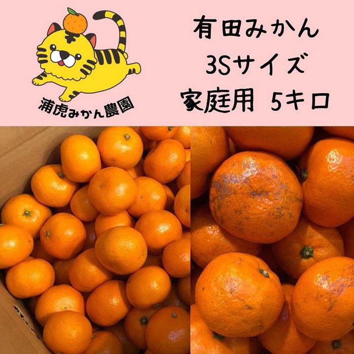 12/23までにご入金確認分は年内発送確定!温州みかん 家庭用箱込み5kg ( 3Sサイズ以下指定)小さなミカンが好きな人におすすめ和歌山県有田川町12000果物・フルーツみかん・柑橘類