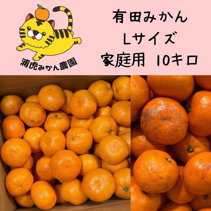 12/23までにご入金確認分は年内発送確定!訳あり温州みかん 家庭用 箱込み 10kg (Lサイズ指定)和歌山県有田川町19500果物・フルーツみかん・柑橘類