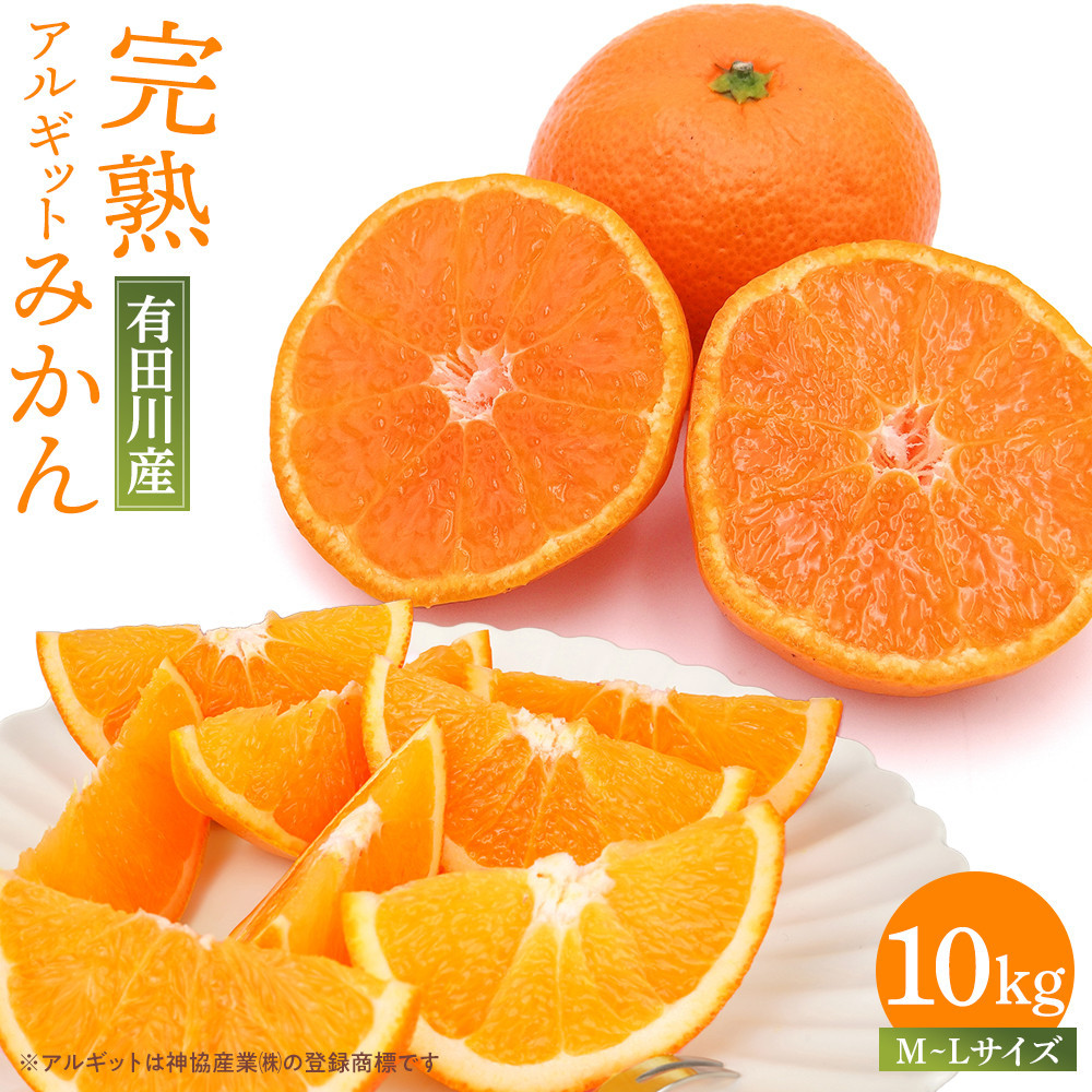 【年内発送指定】 完熟 アルギット みかん 10kg M 〜 Lサイズ 【発送期間:2025年12月21日〜12月30日】 先行予約 みかん 有田みかん 甘い おいしい ジューシー 皮 薄い 完熟 期間限定 フルーツ 果