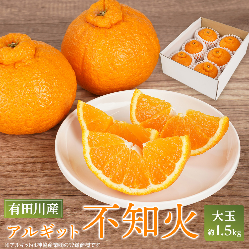 アルギット 不知火 約1.5kg 大玉 サイズ(5〜6玉)| 先行予約 不知火 デコ みかん 甘い おいしい ジューシー 完熟 期間限定 数量限定 フルーツ 果物 柑橘 人気 おすすめ 高級 こだわり ギフト