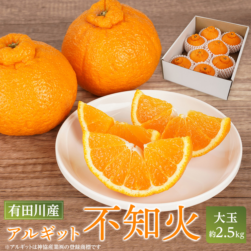 アルギット 不知火 約2.5kg 大玉 サイズ(8〜9玉)| 先行予約 不知火 デコ みかん 甘い おいしい ジューシー 完熟 期間限定 数量限定 フルーツ 果物 柑橘 人気 おすすめ 高級 こだわり ギフト