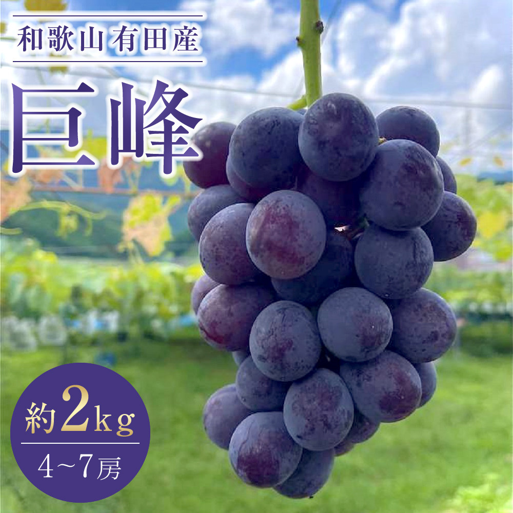 s\ a̎R LcY  2kg 4`7[ Ԃǂ t[c ʕm2026N8{ȍ~na̎RLc쒬14000ʕEt[c}XJbgEԂǂ
