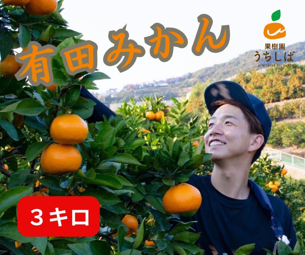 和歌山県産 濃厚な甘さ 完熟有田みかん 3kg 農家直送和歌山県有田川町10000果物・フルーツみかん・柑橘類
