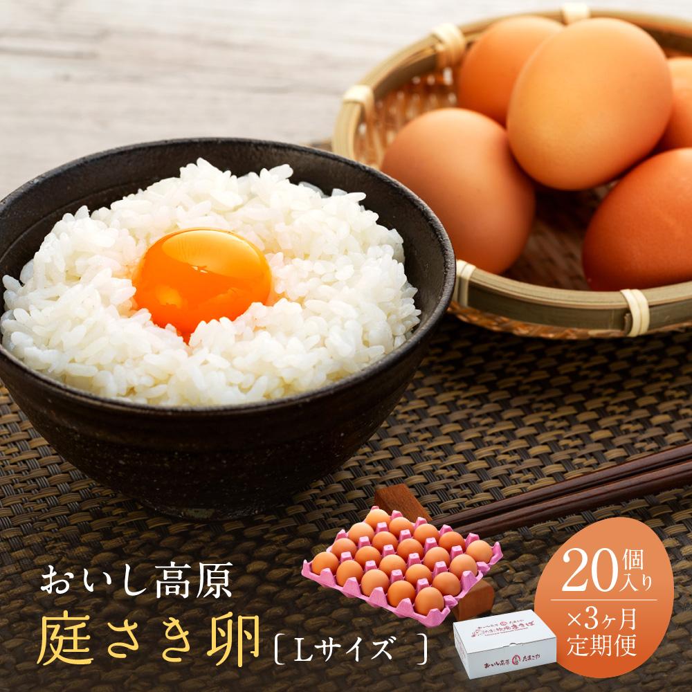 3か月定期便 おいし高原 庭さき卵 Lサイズ 20個入り 【全3回お届け】和歌山県有田川町24000卵・乳製品卵(鶏、烏骨鶏等)