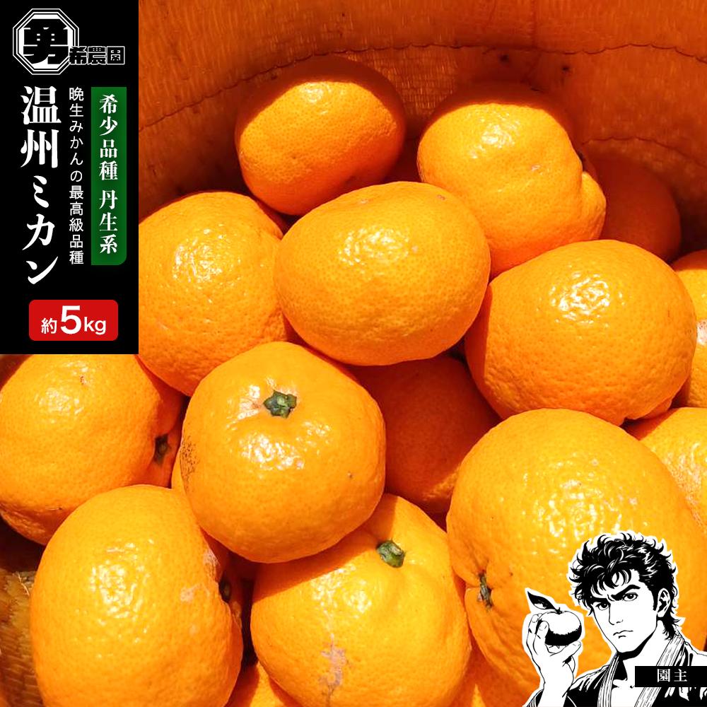 先行予約希少品種 丹生系 温州みかん 5kg  秀・優混合 サイズ混合 2026年2月中旬頃発送和歌山県有田川町11000果物・フルーツみかん・柑橘類