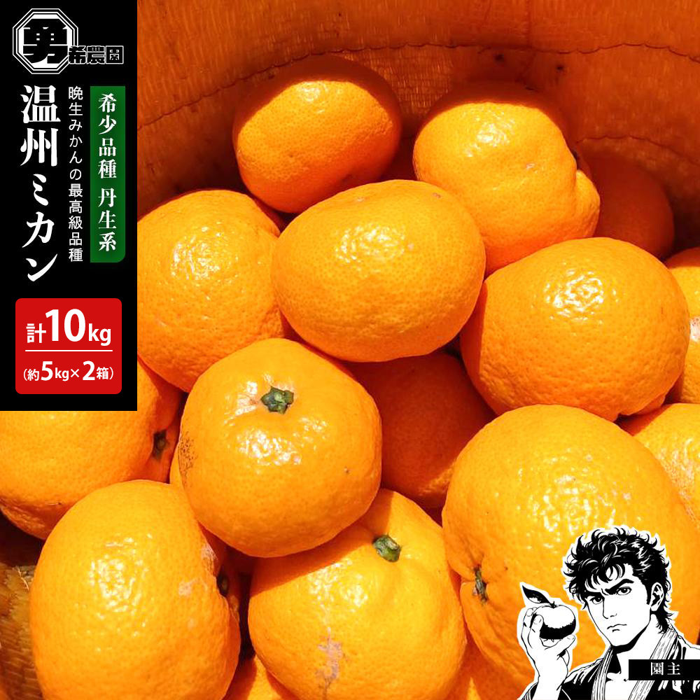先行予約希少品種 丹生系 温州みかん 約10kg (約5kg×2箱) 秀・優混合 サイズ混合 2026年2月中旬頃発送和歌山県有田川町17500果物・フルーツみかん・柑橘類
